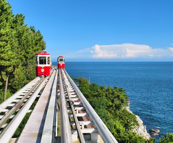 Red trolley cars travel on parallel tracks through lush green trees beside a serene blue ocean under a clear sky, creating a peaceful scene.