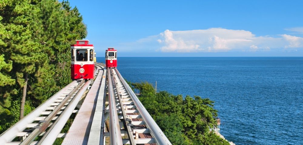 Red trolley cars travel on parallel tracks through lush green trees beside a serene blue ocean under a clear sky, creating a peaceful scene.