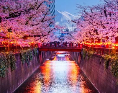 Vibrant cherry blossoms frame a lit-up river at sunset, with a bridge and crowd reflecting in the water. Majestic mountains loom in the background. Serene and lively.