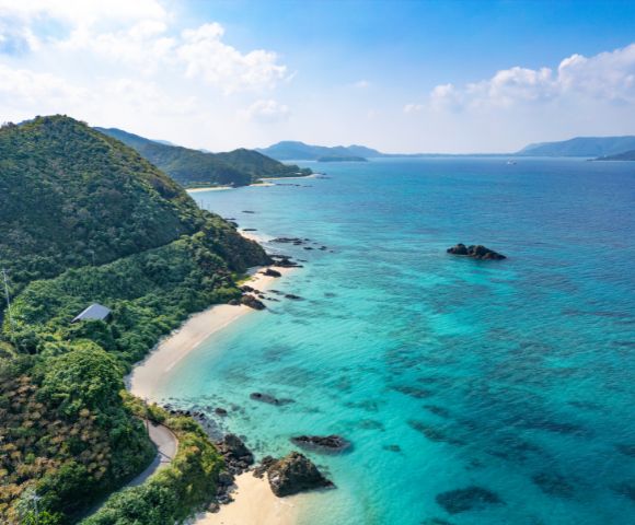 Aerial view of a serene coastline with lush green hills, a sandy beach, and turquoise ocean. The sky is clear and blue, evoking a sense of peace and tranquility.