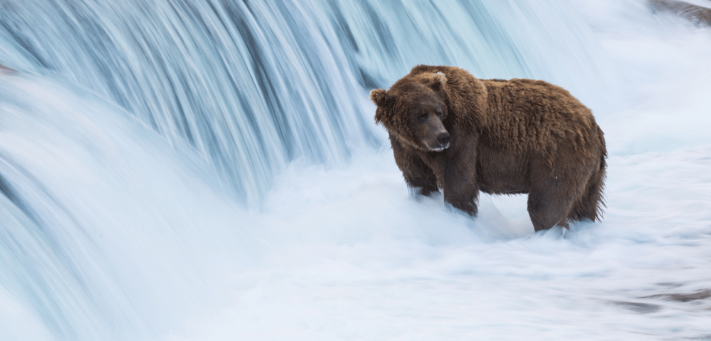 Pacific Jewels & Astonishing Alaska from Sydney | Anthem of the Seas Image 2