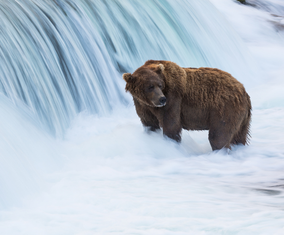 Pacific Jewels & Astonishing Alaska from Sydney | Anthem of the Seas Image 2