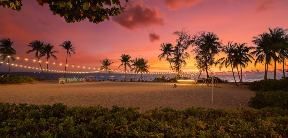 A serene tropical beach at sunset with palm trees and string lights. The vibrant sky glows in pink and orange hues, creating a tranquil atmosphere.