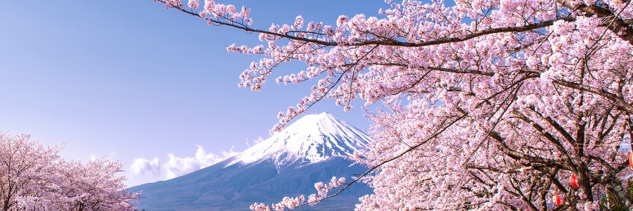 Hero Image - Last Minute Explorations - Category