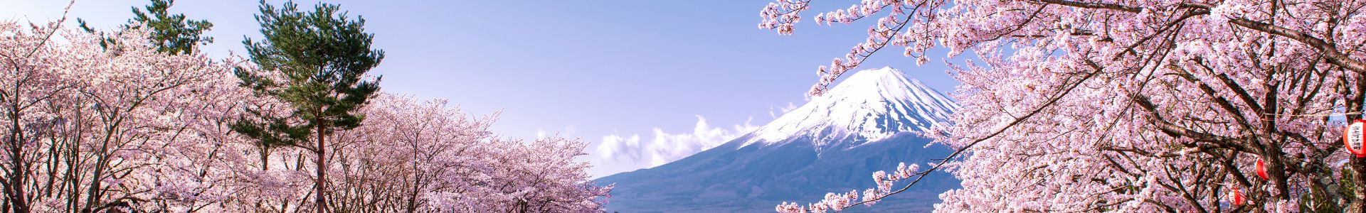 Hero Image - Last Minute Explorations - Category