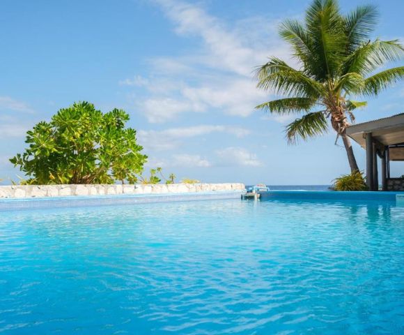 A serene infinity pool reflecting the blue sky, bordered by lush greenery and a palm tree, overlooking the calm ocean. Relaxing, tropical ambiance.