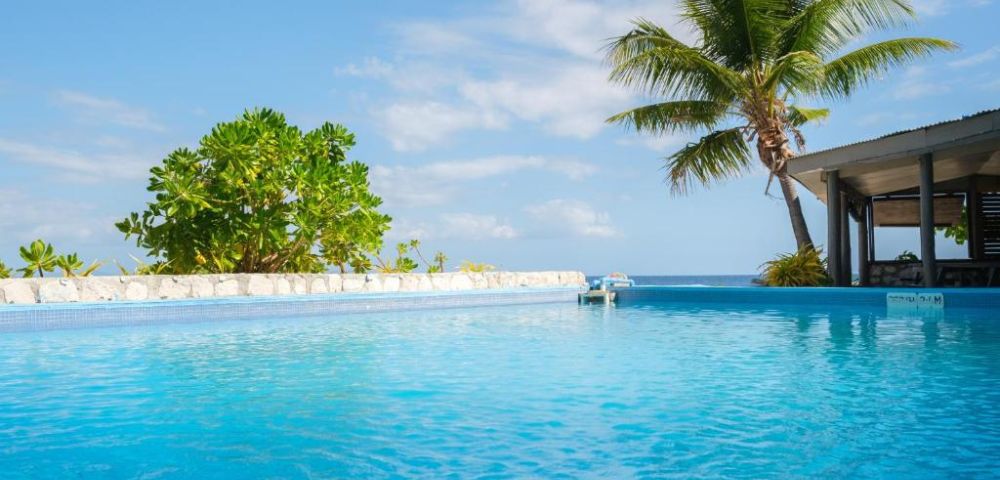 A serene infinity pool reflecting the blue sky, bordered by lush greenery and a palm tree, overlooking the calm ocean. Relaxing, tropical ambiance.