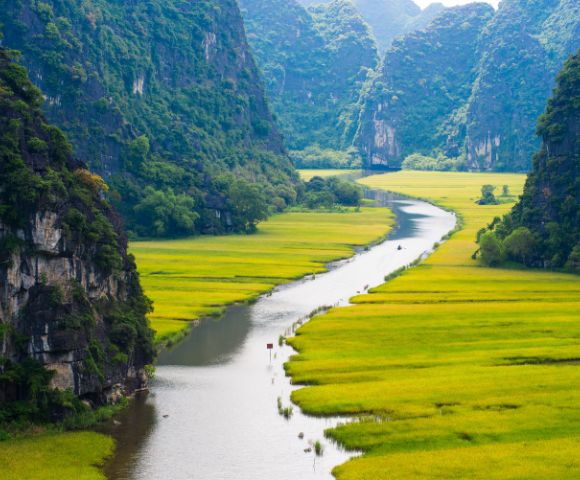 A serene river winds through lush green rice paddies flanked by steep limestone mountains under a clear sky, creating a peaceful, picturesque landscape.