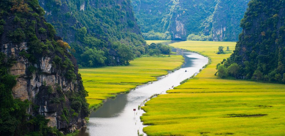 A serene river winds through lush green rice paddies flanked by steep limestone mountains under a clear sky, creating a peaceful, picturesque landscape.