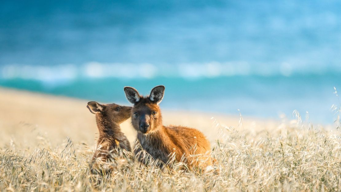 Print Stylesheet Image