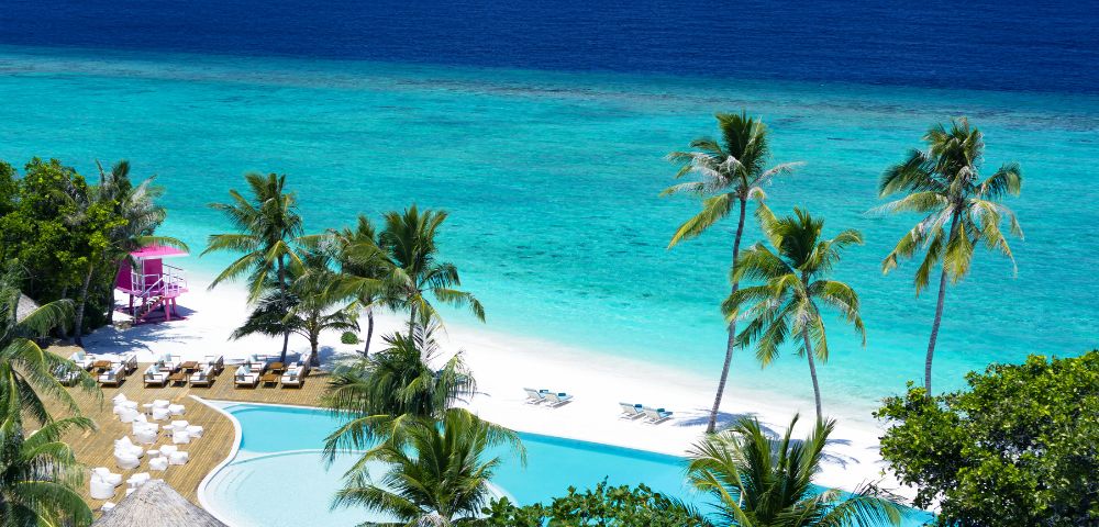 Tropical beach scene featuring palm trees and a sparkling pool under a clear blue sky.