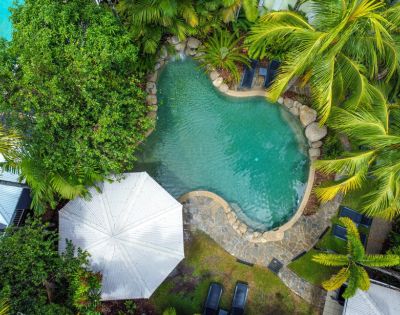 Aerial view of a tropical pool surrounded by lush greenery and palm trees, with a white umbrella and lounge chairs, conveying a serene, vacation vibe.