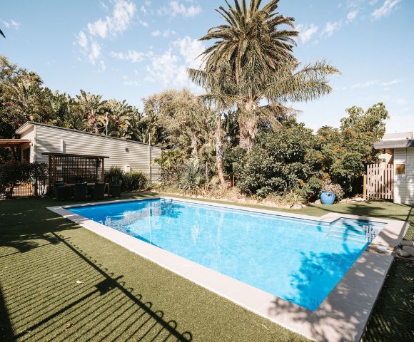Sunlit backyard featuring a sparkling blue swimming pool surrounded by lush greenery and palm trees. A modern poolside deck with seating on the left adds a relaxing atmosphere.