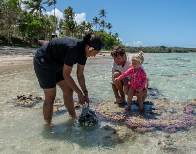 A woman shows coral to a man and child on a sunny, tropical beach. Clear water, palm trees, and blue sky create a serene and educational atmosphere.