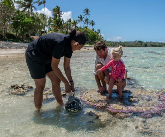 A woman shows coral to a man and child on a sunny, tropical beach. Clear water, palm trees, and blue sky create a serene and educational atmosphere.