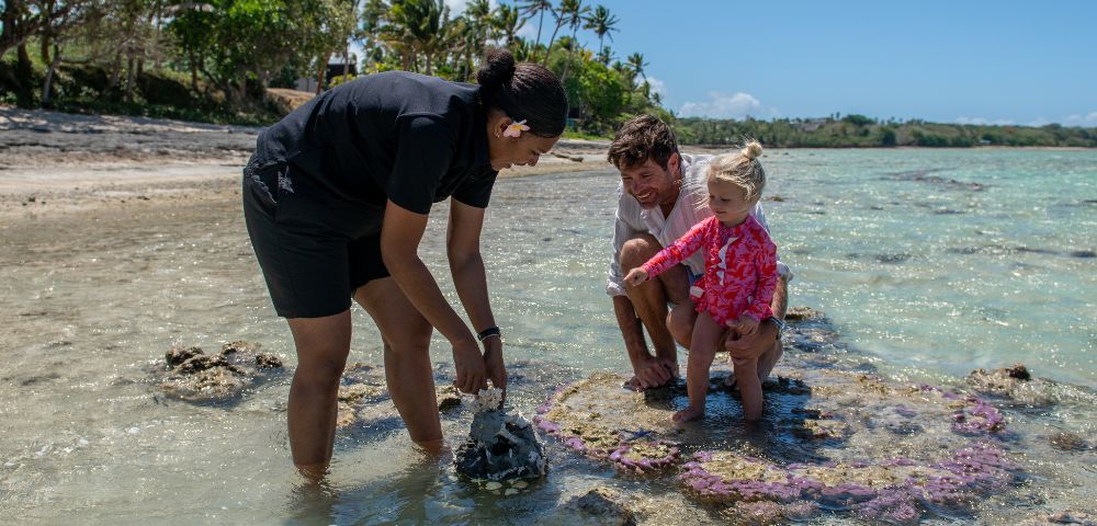A woman shows coral to a man and child on a sunny, tropical beach. Clear water, palm trees, and blue sky create a serene and educational atmosphere.