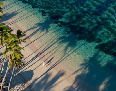 Aerial view of two people walking on a serene beach, surrounded by tall palm trees casting long shadows on the sand and clear turquoise water.