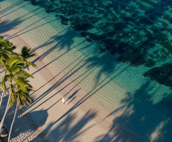 Aerial view of two people walking on a serene beach, surrounded by tall palm trees casting long shadows on the sand and clear turquoise water.