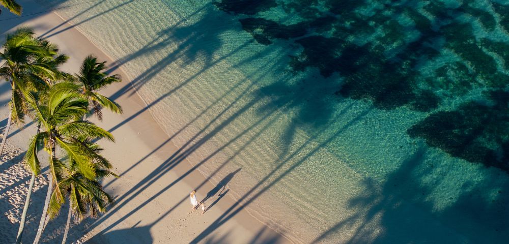 Aerial view of two people walking on a serene beach, surrounded by tall palm trees casting long shadows on the sand and clear turquoise water.