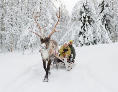 A reindeer pulls a sled carrying two joyful people through a snowy forest. Snow-laden trees surround the scene, conveying a festive winter atmosphere.
