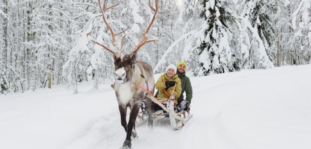 A reindeer pulls a sled carrying two joyful people through a snowy forest. Snow-laden trees surround the scene, conveying a festive winter atmosphere.