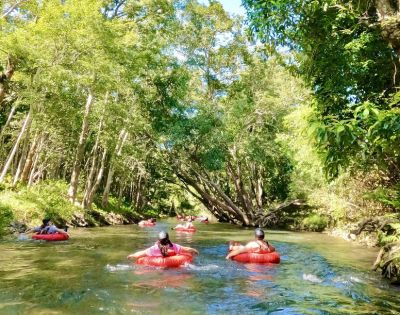 People float on red inner tubes down a lush, tree-lined river on a sunny day. The scene conveys relaxation and enjoyment of nature.