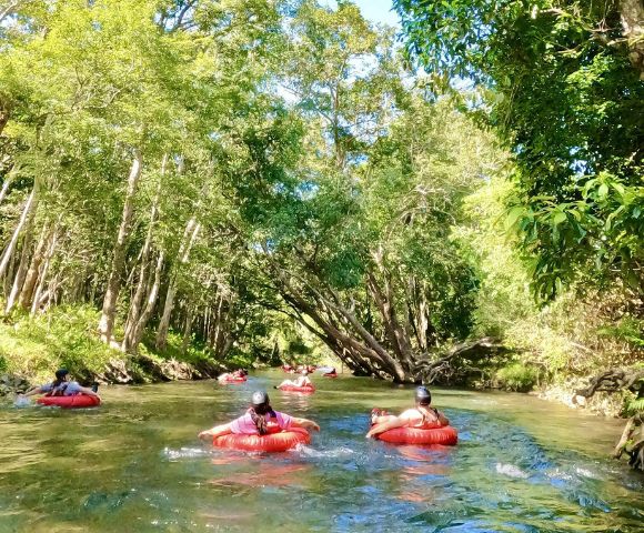 People float on red inner tubes down a lush, tree-lined river on a sunny day. The scene conveys relaxation and enjoyment of nature.