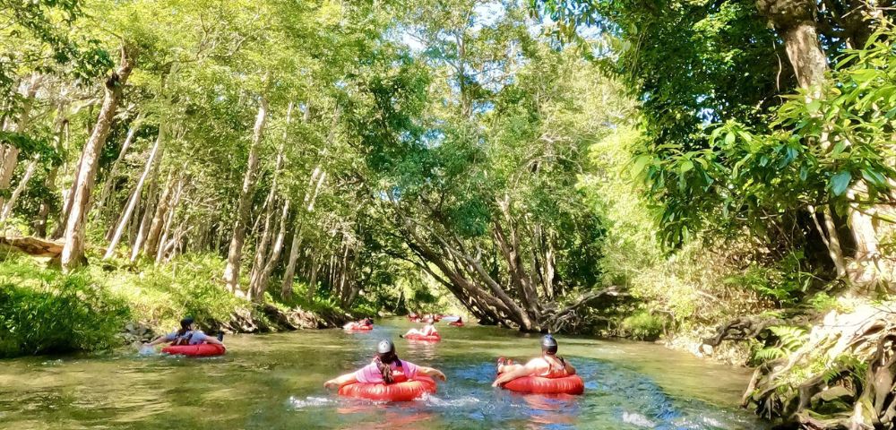 People float on red inner tubes down a lush, tree-lined river on a sunny day. The scene conveys relaxation and enjoyment of nature.