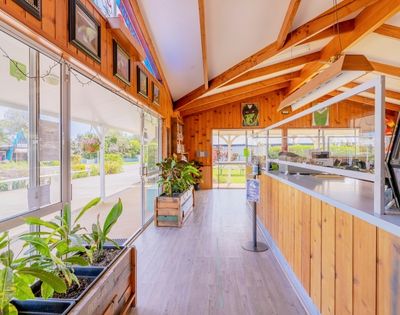 A bright, airy wooden greenhouse interior with large windows, potted plants, and a counter. The space feels warm and inviting with natural light.