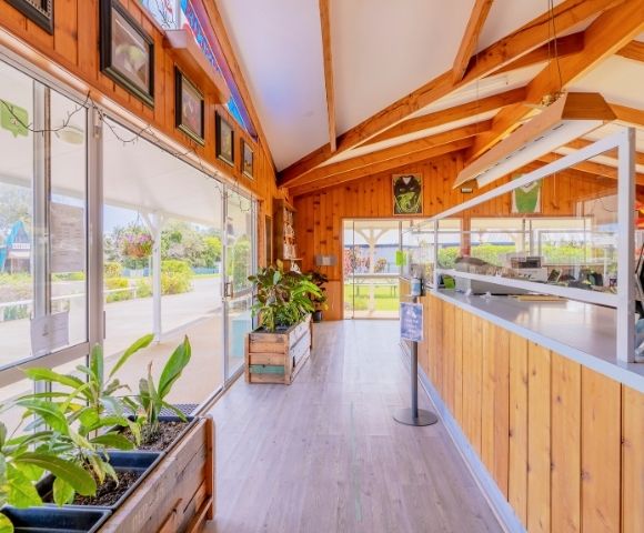 A bright, airy wooden greenhouse interior with large windows, potted plants, and a counter. The space feels warm and inviting with natural light.