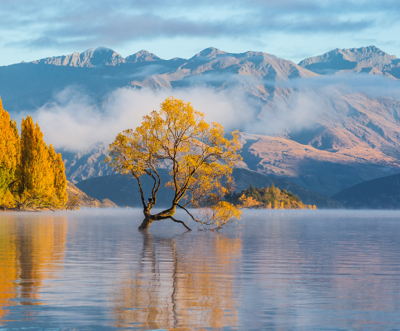 10 Day Scenic New Zealand Tour Main Image