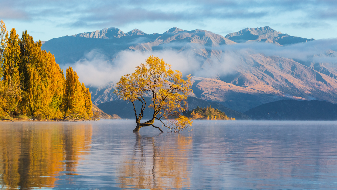 Print Stylesheet Image