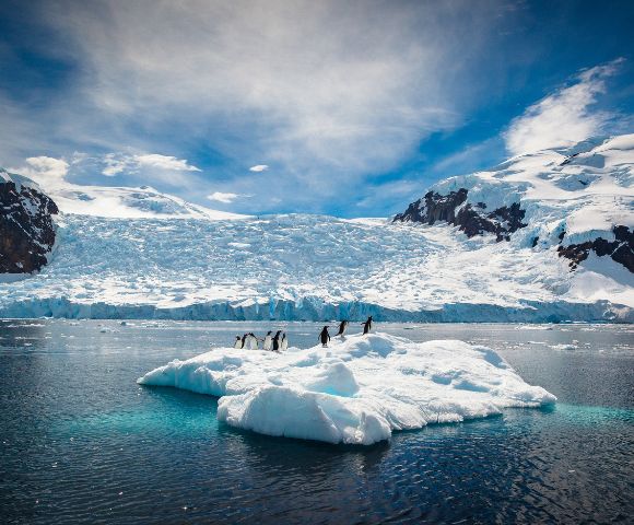 Penguins gather on a floating iceberg surrounded by calm, dark blue waters, with towering snow-covered mountains and glaciers in the background under a bright, partly cloudy sky.