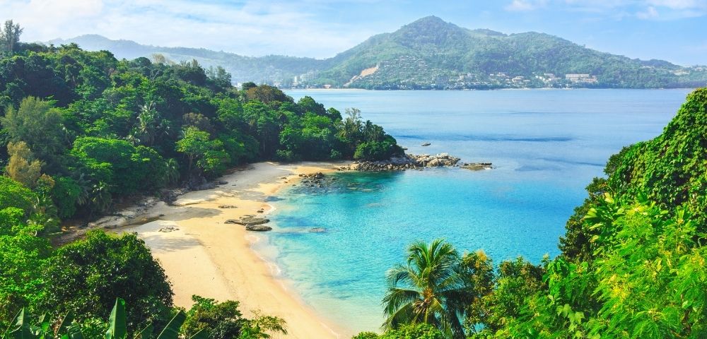A stunning beach scene featuring vibrant green trees and clear blue water under a bright sky.