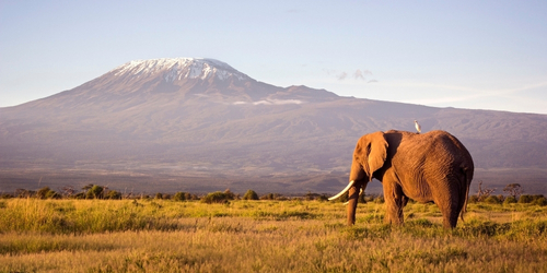 Kenya Packages