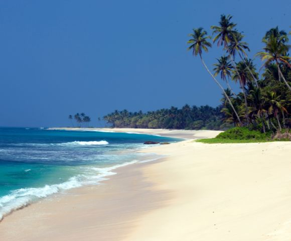 A serene tropical beach with soft white sand, turquoise waves rolling gently onto the shore, and tall palm trees leaning toward the ocean under a clear blue sky.