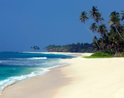 A serene tropical beach with soft white sand, turquoise waves rolling gently onto the shore, and tall palm trees leaning toward the ocean under a clear blue sky.