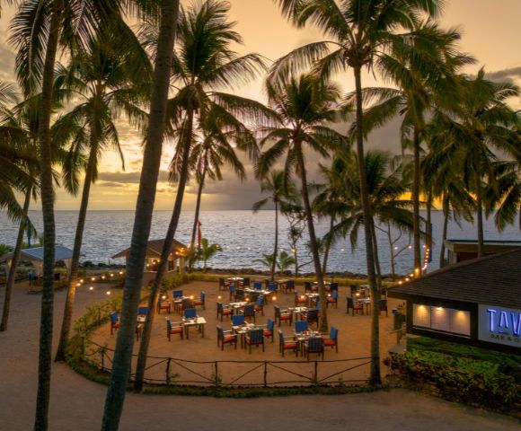 Outdoor beach restaurant at sunset, framed by tall palm trees. Tables are set with blue chairs, creating a tranquil and inviting seaside atmosphere.