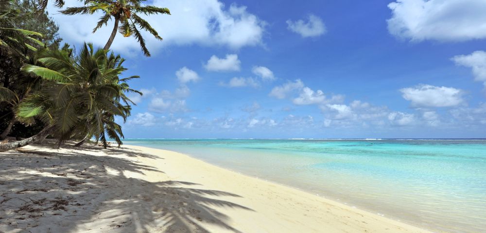 Sandy beach with turquoise water and palm trees under a bright blue sky.