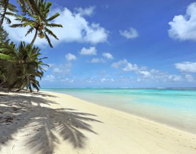 Sandy beach with turquoise water and palm trees under a bright blue sky.