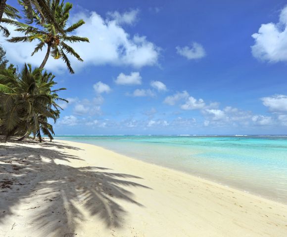 Sandy beach with turquoise water and palm trees under a bright blue sky.