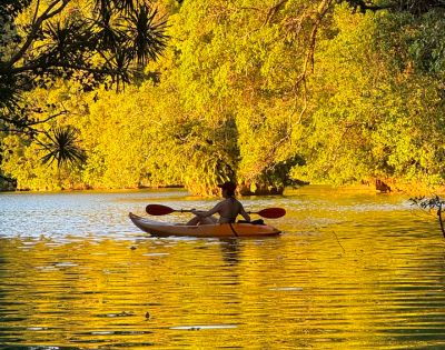 A person kayaks on a sunlit lake surrounded by lush, golden-hued trees, creating a serene and peaceful atmosphere. The water reflects the vibrant colors.