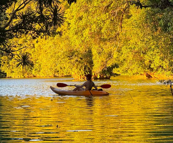 A person kayaks on a sunlit lake surrounded by lush, golden-hued trees, creating a serene and peaceful atmosphere. The water reflects the vibrant colors.