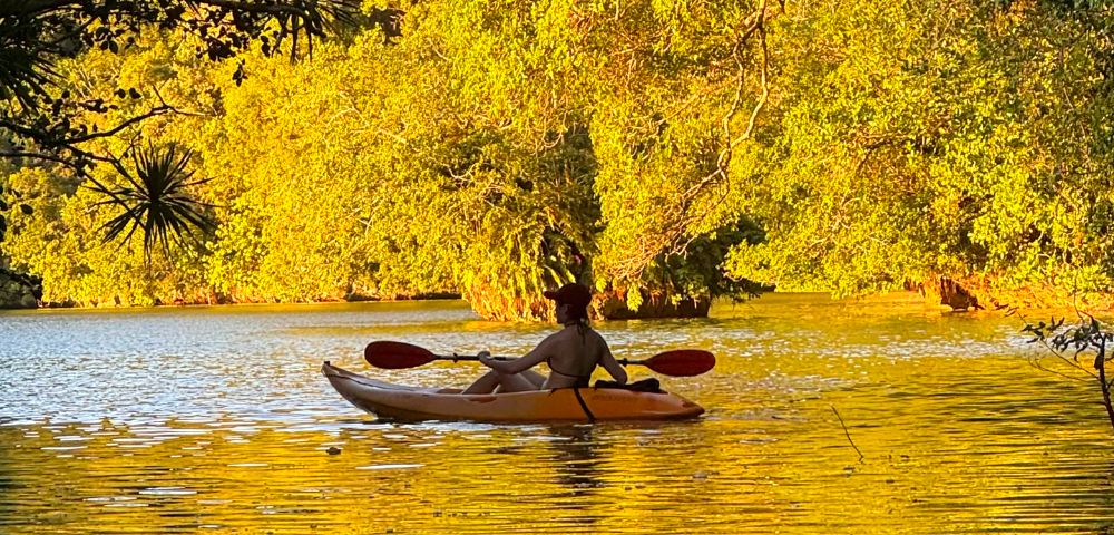 A person kayaks on a sunlit lake surrounded by lush, golden-hued trees, creating a serene and peaceful atmosphere. The water reflects the vibrant colors.