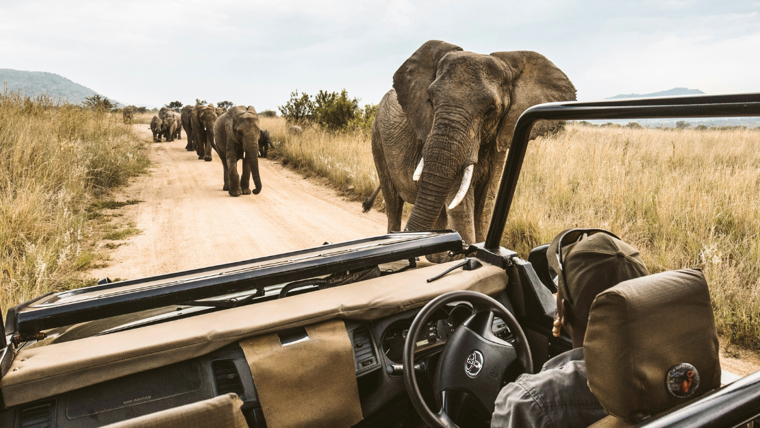 Print Stylesheet Image