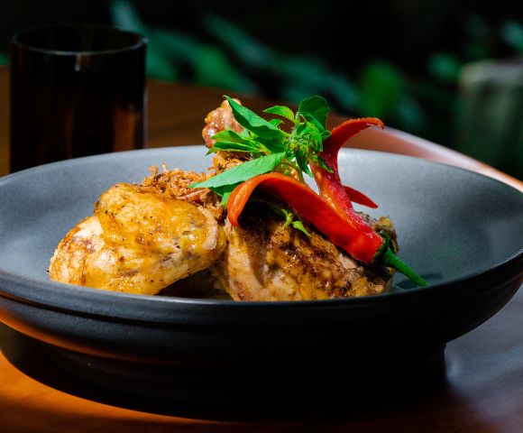 Grilled chicken garnished with red chili and fresh herbs on a dark plate. Sunlight enhances the dish's texture, creating a warm, appetizing atmosphere.