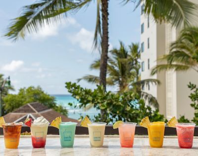 Tropical drinks in vibrant colors line a beachside counter with palm trees, blue sky, and ocean in the background; a relaxed, sunny vacation vibe.