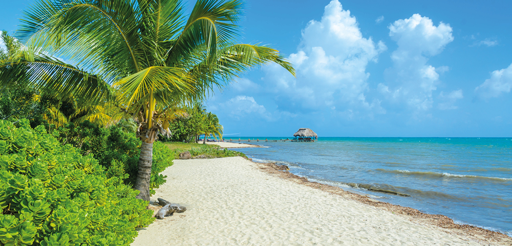 Tropical beach scene with a sandy shore, lush palm trees, and vibrant blue ocean. A thatched hut is visible on a pier, under a partly cloudy sky.