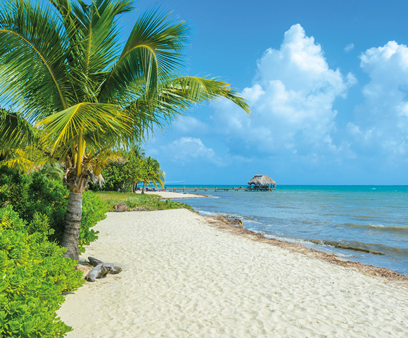 Tropical beach scene with a sandy shore, lush palm trees, and vibrant blue ocean. A thatched hut is visible on a pier, under a partly cloudy sky.
