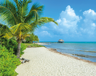 Tropical beach scene with a sandy shore, lush palm trees, and vibrant blue ocean. A thatched hut is visible on a pier, under a partly cloudy sky.